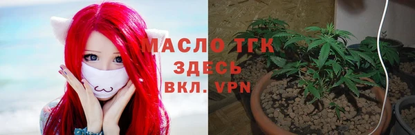 стаф Осинники