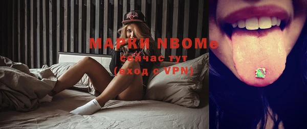 стаф Осинники