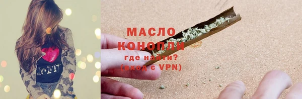 стаф Осинники