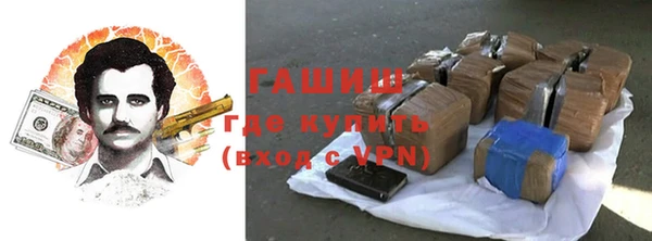 стаф Осинники