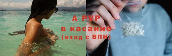 стаф Осинники