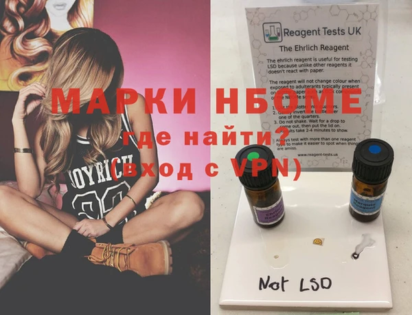 стаф Осинники