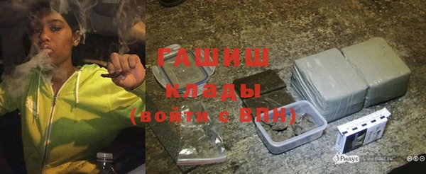 стаф Осинники
