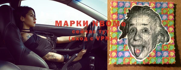 стаф Осинники