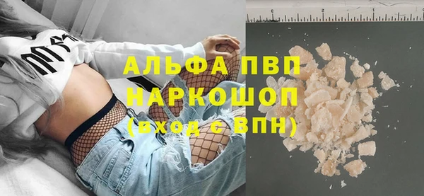 стаф Осинники