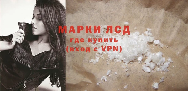 стаф Осинники